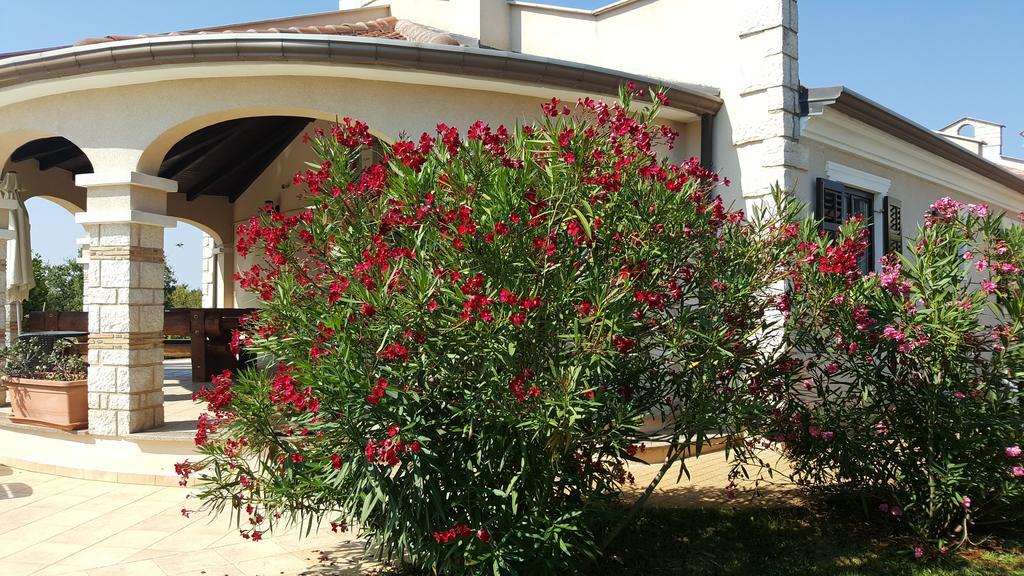 Villa Parenzo โปเรช ภายนอก รูปภาพ